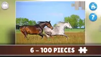 Horse and Pony jigsaw puzzles Screen Shot 2