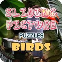 Sliding Puzzles - Birds
