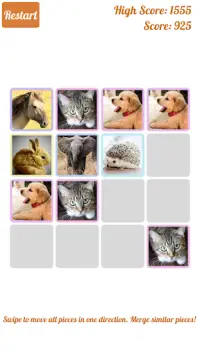 2048 Cute Animals - Puzzle for Girls Screen Shot 1