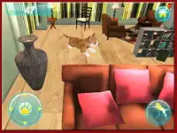 الكلب محاكي 3D Screen Shot 6