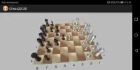 Chess Ulm Pro Screen Shot 2