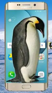 Penguin live on the screen(Prank) Screen Shot 3
