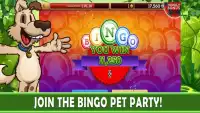 Bingo Pets Party Screen Shot 1