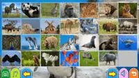 Learning Animals and Puzzle Games Screen Shot 2
