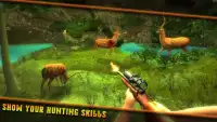 Top Deer Hunting Games Screen Shot 3
