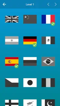 Flags of the World + Emblems:  Screen Shot 1