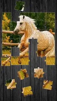 Horses Jigsaw Puzzle Game Screen Shot 2