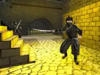 Ninja Guerrero medio tierra batalla simulador 3D Screen Shot 5