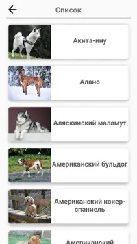 Породы собак – Фото-тест про всех собак мира Screen Shot 4