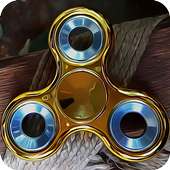 Rare Fidget Spinner Puzzle