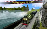 Train Driver: Unstoppable Screen Shot 3