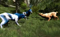 Wildlife Artic Wolf Game - Warewolf Games 2020 Screen Shot 1