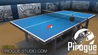 Pro Arena Table Tennis LITE Screen Shot 9