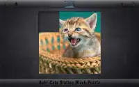 Aah! Cats Sliding Block Puzzle Screen Shot 1