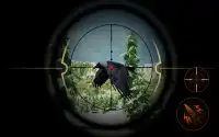 Chasse au corbeau forêt suvage Screen Shot 5