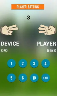 Hand Cricket 2 Screen Shot 2
