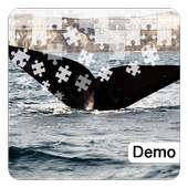 Whale Jigsaw Puzzles Demo