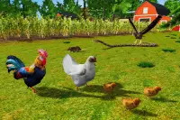 Rooster Simulator - Chick Life Screen Shot 12