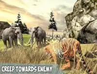 Angry Tiger Jungle Survival 3D Screen Shot 8