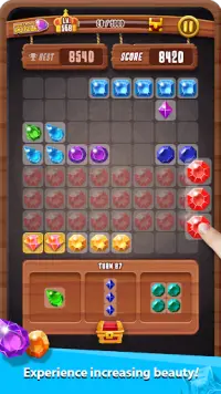 Jewels Block Puzzle Play Screen Shot 2