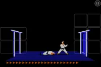 Karateka Classic Screen Shot 4