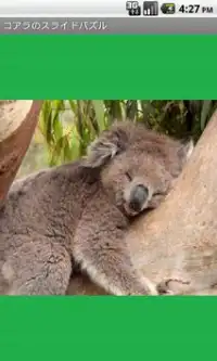 Koala Puzzle free Screen Shot 0