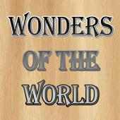 Puzzle Me-Wonders Of The World