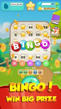 Spin Town - Bingo Master! Screen Shot 1