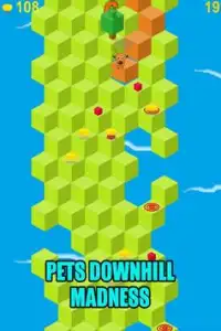Pets Downhill Madness - Game Screen Shot 1