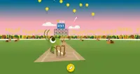 Doddle Games - Cricket !! Code !! Halloween !! Screen Shot 3