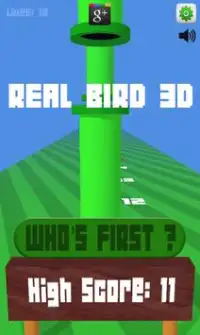 Real Bird POV 3D Screen Shot 0