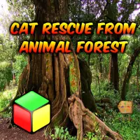 Cat Rescue Dari Forest Haiwan Screen Shot 0