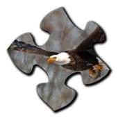 Bird Jigsaw Puzzles