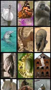 Animals Puzzle Screen Shot 1