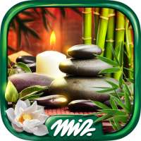 Mystery Objects Zen Garden – Searching Games
