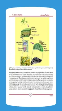 Biology 11 Punjab Textbook (Offline) Screen Shot 4