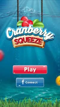 Cranberry Squeeze Screen Shot 0