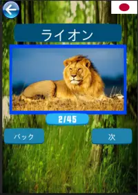 動物の名前を学ぶ Screen Shot 0