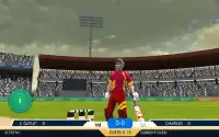 Srilanka Cricket Champions Screen Shot 10