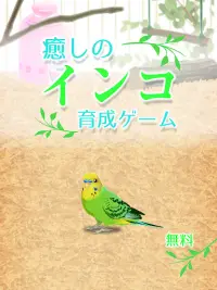 癒しのインコ育成ゲーム Screen Shot 6