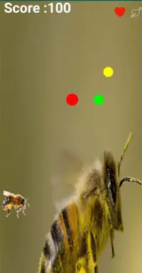 Bee Flying Screen Shot 4