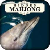 Hidden Mahjong: Dolphin Dreamz