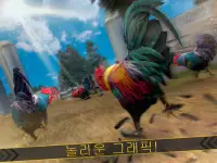 닭 싸움 수탉 Wild Rooster Run Screen Shot 7
