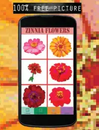 Zinnia Flowers Color By Number-Pixel Art Screen Shot 1