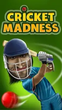 Cricket permainan Mad DewanAir Screen Shot 0
