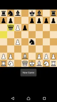 Chess Pro Screen Shot 4