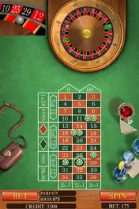 Roulette Casino Screen Shot 1