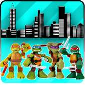 Turtle Ninja heroes