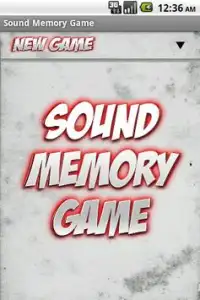 Audio-Memory-Spiel Screen Shot 0