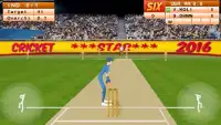 Cricket Star 2016 Screen Shot 2